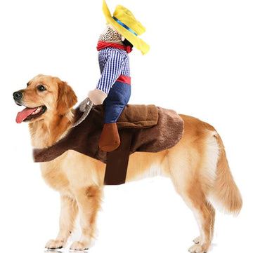 Funny Cowboy Dog Outfit – The Cutest Costume in Town!